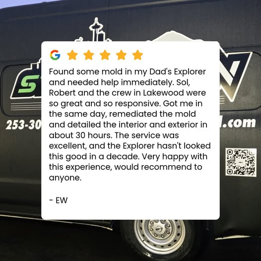 Google review 5 for Steam Green Auto Detail